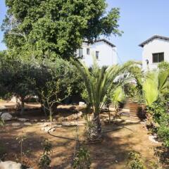 Отель Villa Luxury Konnos Beach 1 фото 6