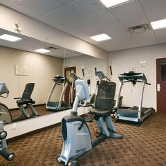 Отель Best Western Plus Travel Hotel Toronto Airport Канада, Торонто - отзывы, цены и фото номеров - забронировать отель Best Western Plus Travel Hotel Toronto Airport онлайн фитнесс-зал фото 3