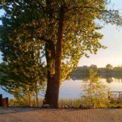 Отель Ezerkiemis Литва, Тракай - отзывы, цены и фото номеров - забронировать отель Ezerkiemis онлайн