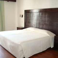 Hotel And Suites Mansion San Antonio In El Oro De Hidalgo - 