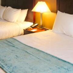 Отель Clarion Inn near JBLM США, Такома - отзывы, цены и фото номеров - забронировать отель Clarion Inn near JBLM онлайн комната для гостей фото 5