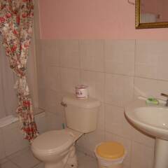 Отель PinkHibiscus Guest House ванная фото 2