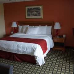 Baymont by Wyndham Springfield IL in Springfield, United States of America from 104$, photos, reviews - zenhotels.com guestroom photo 2