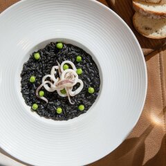 Radisson Blu Hotel, Dubai Media City с домашними животными