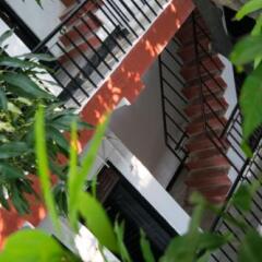 Отель Lumbini Village Lodge Непал, Лумбини - отзывы, цены и фото номеров - забронировать отель Lumbini Village Lodge онлайн фото 3