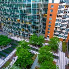 Отель Bluebird Suites on Washington Circle США, Вашингтон - отзывы, цены и фото номеров - забронировать отель Bluebird Suites on Washington Circle онлайн
