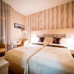 Hotel U Pramenu Пльзень комната для гостей фото 2