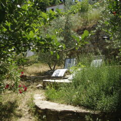 Отель Terrace Houses Sirince - Fig, Olive and Grapevine фото 2