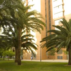 Отель Apartamentos Plaza Picasso Испания, Валенсия - 2 отзыва об отеле, цены и фото номеров - забронировать отель Apartamentos Plaza Picasso онлайн фото 4