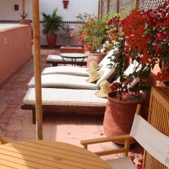 Отель Riad Dar Zouhour Марокко, Рабат - отзывы, цены и фото номеров - забронировать отель Riad Dar Zouhour онлайн бассейн