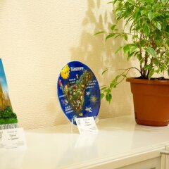 Отель Меблированные комнаты Версаль на Кутузовском Москва бассейн
