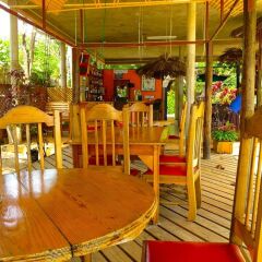 Отель Whistling Bird Resort детские мероприятия фото 2