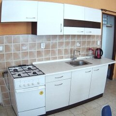 Отель AB Apartments Чехия, Карловы Вары - отзывы, цены и фото номеров - забронировать отель AB Apartments онлайн в номере фото 2