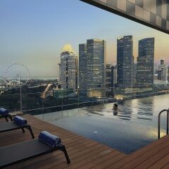Отель Pan Pacific Serviced Suites Beach Road, Singapore бассейн фото 3