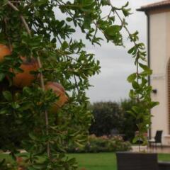 Отель Cà Rocca Relais Монселиче фото 13