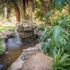 Отель Homestead B & B фото 10
