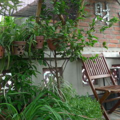 Queen Travel Boutique Hotel - Hang Bac Ханой фото 5