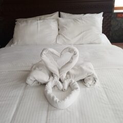 Mytra Hotel с домашними животными