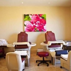 Отель Ocean-view Villa in Cabo San Lucas, 3 Bedroom Педрегал спа
