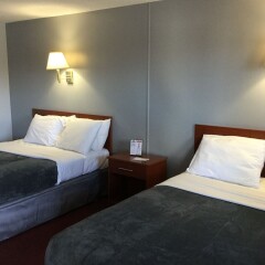 Отель Swiss Cottage Inn США, Ниагара-Фолс - 1 отзыв об отеле, цены и фото номеров - забронировать отель Swiss Cottage Inn онлайн сейф в номере