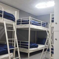 Seoul Forest Guesthouse - Hostel детские мероприятия
