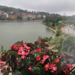 Отель Sapa Lake View Hotel Вьетнам, Шапа - отзывы, цены и фото номеров - забронировать отель Sapa Lake View Hotel онлайн приотельная территория
