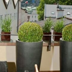 Отель Star Inn Gablerbrau Зальцбург фото 2