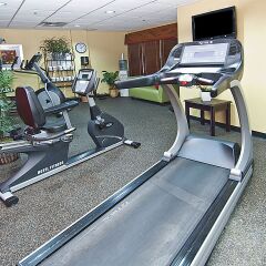 Отель Holiday Inn Vicksburg США, Виксбург - отзывы, цены и фото номеров - забронировать отель Holiday Inn Vicksburg онлайн фитнесс-зал
