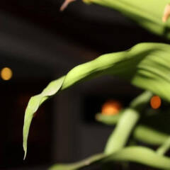 Hotel La Paz Gardens фитнесс-зал