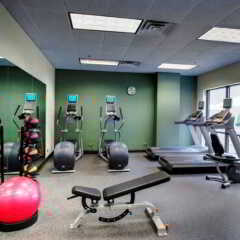 Отель Hampton Inn & Suites Chicago Downtown фитнесс-зал фото 3