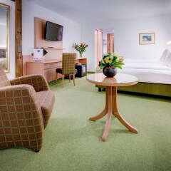 Отель Alpen Resort Hotel Швейцария, Церматт - отзывы, цены и фото номеров - забронировать отель Alpen Resort Hotel онлайн комната для гостей фото 5