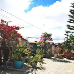 Отель Co Lien Homestay Dalat Далат фото 13