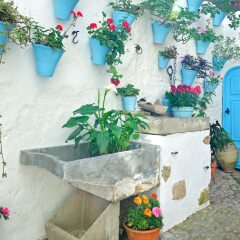Отель Alojamiento DePatios