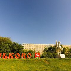 Гостиница Domumetro na Konkovo