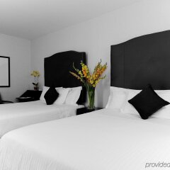 Отель Washington Jefferson Hotel США, Нью-Йорк - отзывы, цены и фото номеров - забронировать отель Washington Jefferson Hotel онлайн комната для гостей фото 3