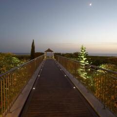 Отель Porto Mare - PortoBay Португалия, Фуншал - отзывы, цены и фото номеров - забронировать отель Porto Mare - PortoBay онлайн приотельная территория фото 2