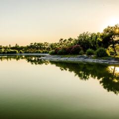Отель El Plantio Golf Resort фото 3