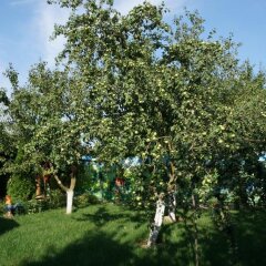 Гостевой дом Котляково фото 6
