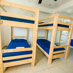 Отель The Mermaid Hostel Beach - Adults Only Мексика, Канкун - отзывы, цены и фото номеров - забронировать отель The Mermaid Hostel Beach - Adults Only онлайн комната для гостей фото 4