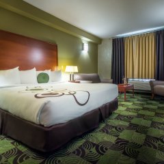 Отель Deerfoot Inn & Casino Канада, Калгари - отзывы, цены и фото номеров - забронировать отель Deerfoot Inn & Casino онлайн комната для гостей фото 4