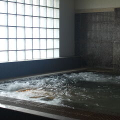 Отель Ebina House Бангкок с домашними животными