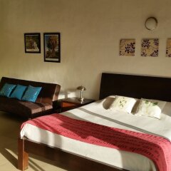 Hotel Faroazul in Santa Rosa De Cabal, Colombia from 81$, photos, reviews - zenhotels.com guestroom