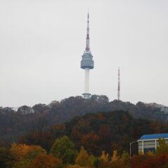 Отель Sejong Hotel Южная Корея, Сеул - отзывы, цены и фото номеров - забронировать отель Sejong Hotel онлайн приотельная территория фото 2