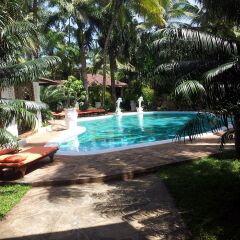 Отель African House Resort с домашними животными