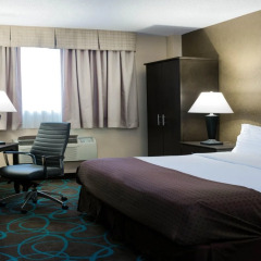 Отель Holiday Inn Niagara Falls Scenic Downtown США, Ниагара-Фолс - отзывы, цены и фото номеров - забронировать отель Holiday Inn Niagara Falls Scenic Downtown онлайн удобства в номере фото 2
