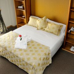 San Nicolas Plaza Hotel Сан-Николас-де-лос-Арройос комната для гостей фото 3