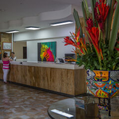 Hotel Del Llano интерьер отеля фото 3