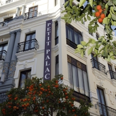 Отель Petit Palace Sevilla Canalejas Испания, Севилья - отзывы, цены и фото номеров - забронировать отель Petit Palace Sevilla Canalejas онлайн