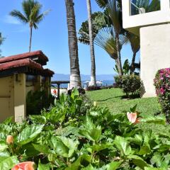Отель Canto del Sol Plaza Vallarta Beach & Tennis Resort - Все включено фото 7
