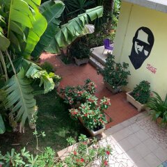 Studio in Tropical Garden in Dakar, Senegal from 94$, photos, reviews - zenhotels.com photo 3